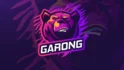 Bear Gaming